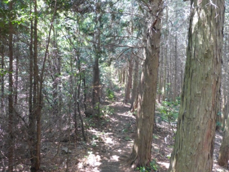 上衣文登山口分岐